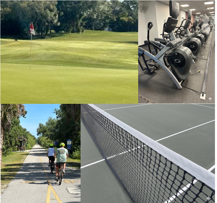 Collage Sports Injury